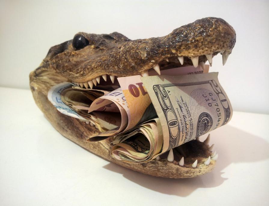 Financial Alligator