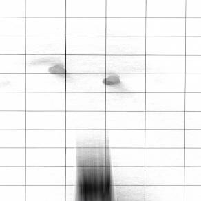 La via si fa con l'andare