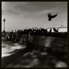 Augusto De Luca - Italy / Italia. 100