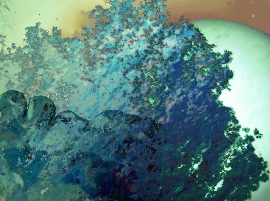 Enchantment of a moonlit night