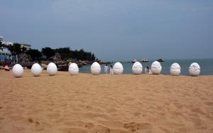 Wenqin  Chen - Before a baby comes out of its mother’s body