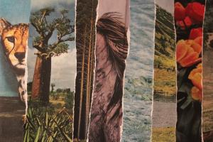 Sara Montironi - Study No.1 HUMANITY