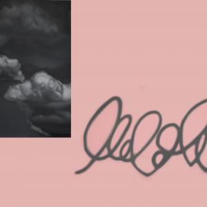 untitled, 210x0cm, oil on canvas, 2015 untitled, 210x0cm, oil on canvas, 2015