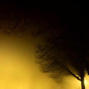 Tre... vicini, simili... ma ognuno differente 