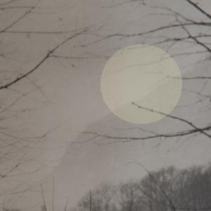 The last summer / I. Souvenirs d'enfance