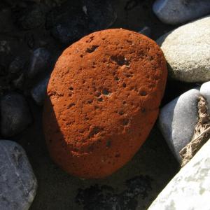 brickstones (the nature of things)