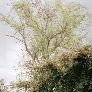 Autostrada Medellin - Bogotà