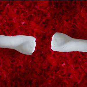 Reconciliation | Prints |Red Feathers