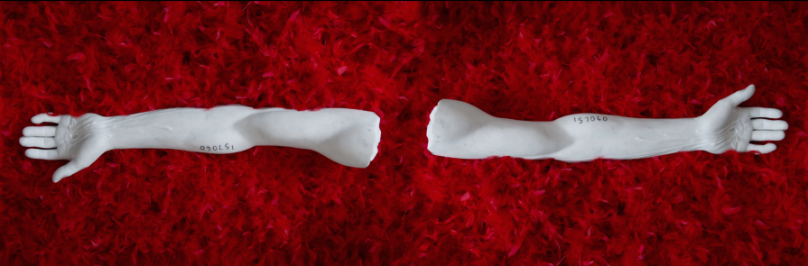 Reconciliation | Prints |Red Feathers