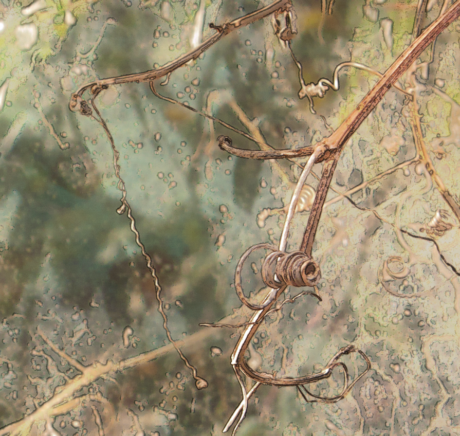 morandiMediterraneo 03a