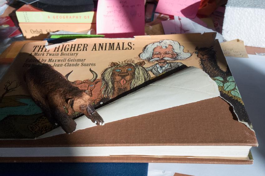 Habitat_project_backstage 25