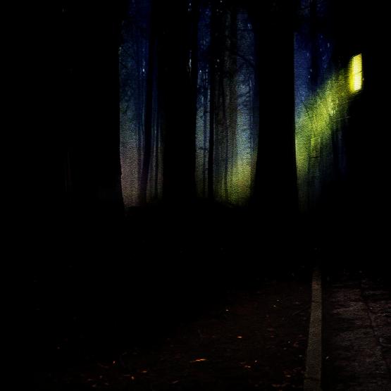 Se guardi nel buio a lungo, c’è sempre qualcosa... Se guardi nel buio a lungo, c’è sempre qualcosa...