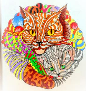 L'autografo felino...!!!