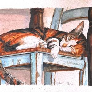 ART ANIMALIER AL CLUB LA MERIDIANA DI MODENA 