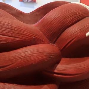 L'ENIGMA DEL COLORE alla grande con Borghi , Fornasari e altri..