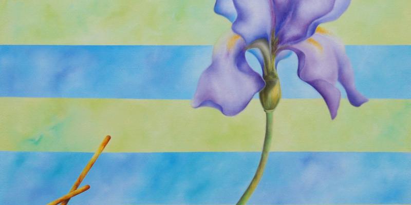 "Open": rassegna di pittura alla Residenza d'Epoca Hotel Club I Pini di Lido di Camaiore "Open": rassegna di pittura alla Residenza d'Epoca Hotel Club I Pini di Lido di Camaiore