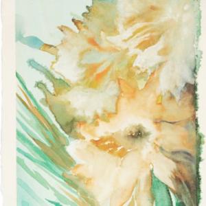 Giovanna Lionetti, Fiori di luce