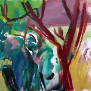 Dialogo con la Natura- oltre i 16:9