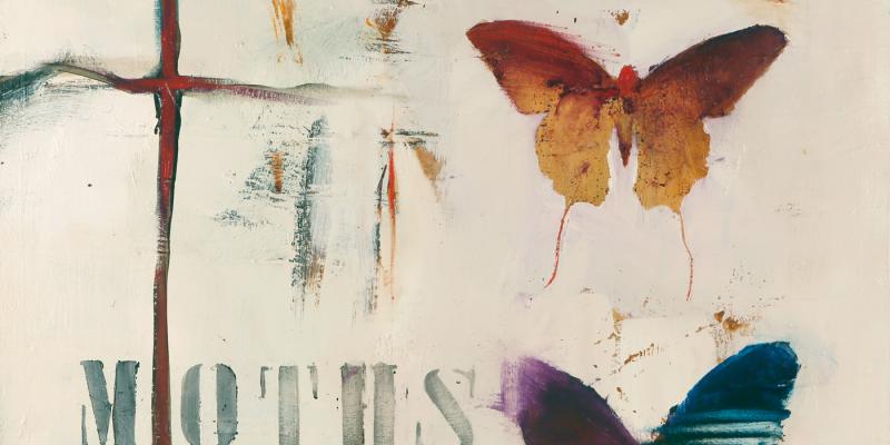 "Different corners": rassegna di pittura alla Galleria Europa di Lido di Camaiore "Different corners": rassegna di pittura alla Galleria Europa di Lido di Camaiore