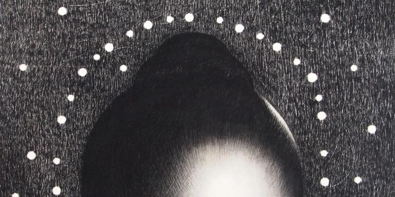 Berenice: un’opera di Omar Galliani donata alla musica