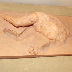 TANTISSIMI AMICI...A VIAGGIO NELL'ARTE alla MERIDIANA DI MODENA