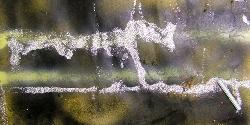 Yellow is a Colour Yellow is a Colour