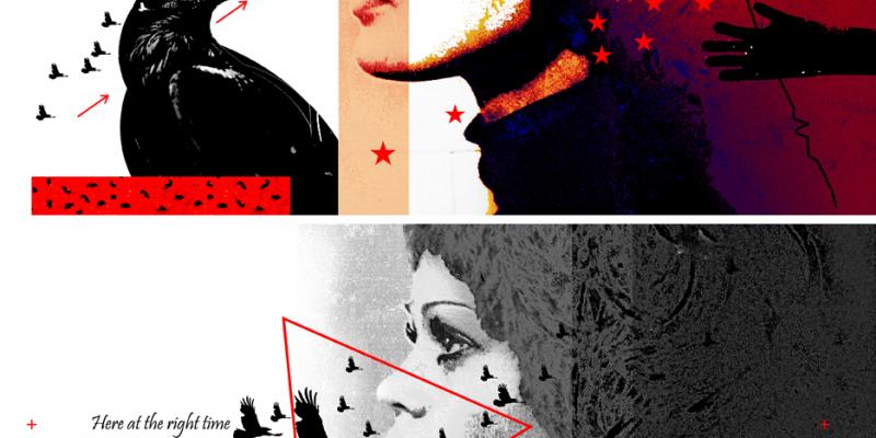 HUNT CROWS 2 HUNT CROWS 2