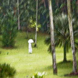 Amandine  Nabarra Piomelli