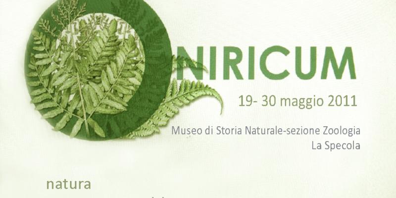 ONIRICUM, Natura tra sogno e realtà