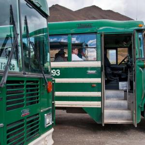 USA. Alaska 1/3. Forme di vita