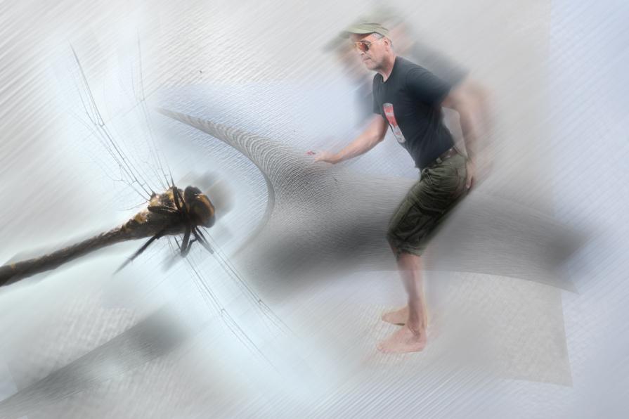 Cavalco in compagnia di una libellula,,,