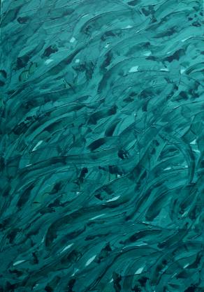 IL TERRITORIO DELLO SMERALDO 