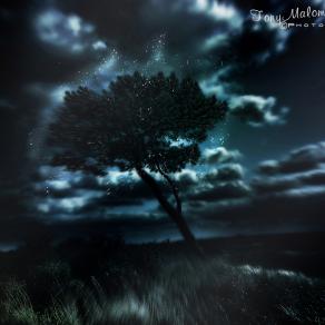 The Spirit in the Tree - (Lo Spirito nell'albero)