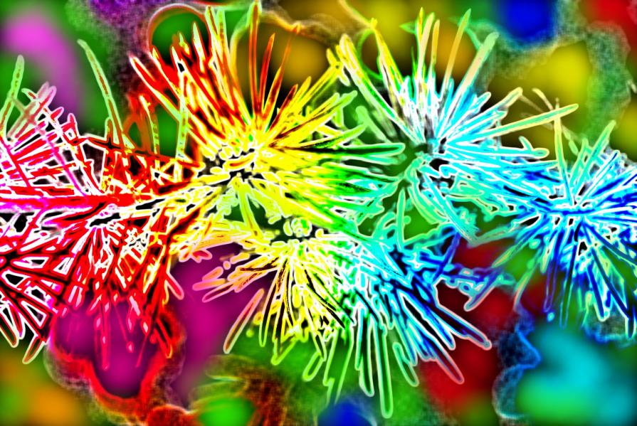 ...NESSUNO È; PERFETTO MA OGNUNO È UNICO...!!!  ***GRANDE MAX ***