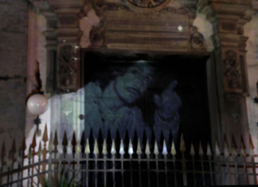 Proiezione Innesti Proiezione Innesti