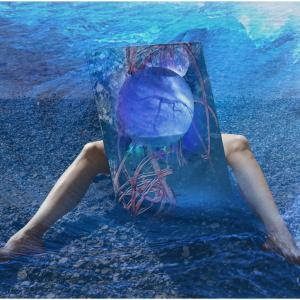 Transmutation XI Transmutation XI