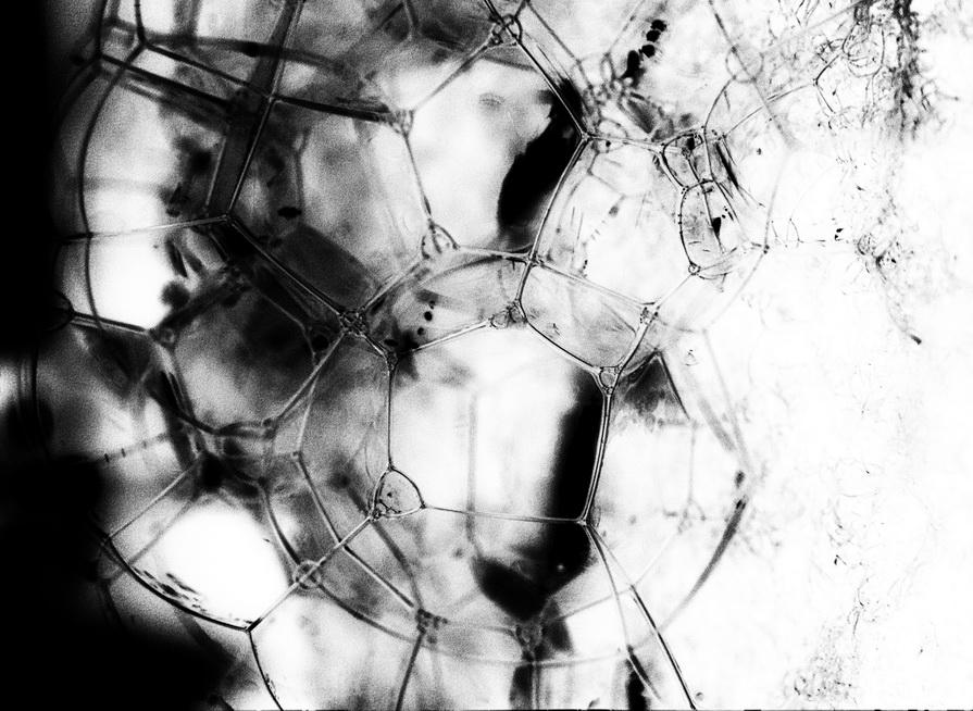 Riorganizzazione cellulare