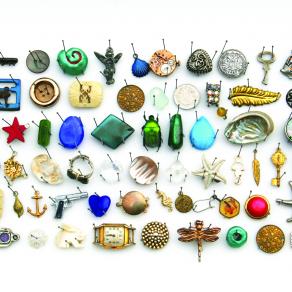 Collezione di una gazza ladra