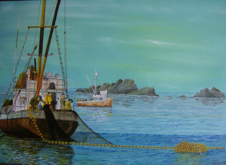 LG 0044 - Salpare le reti