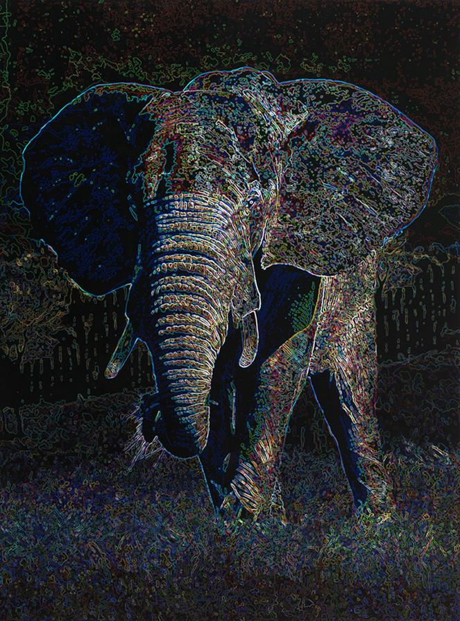 '70 years is a long time on the same patch of grass'