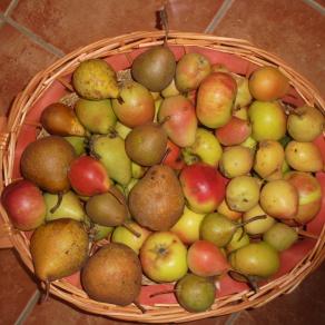 I COLORI DELLA BIODIVERSITÀ