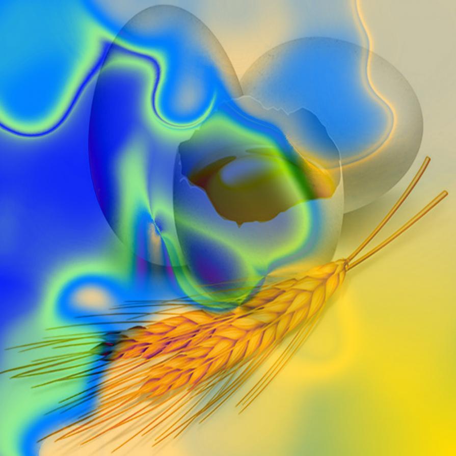 . . . Meglio un uovo oggi che una gallina domani !!! . . . 