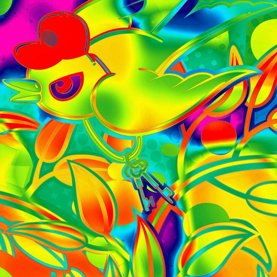 Gli uccelli non volano solamente !!!