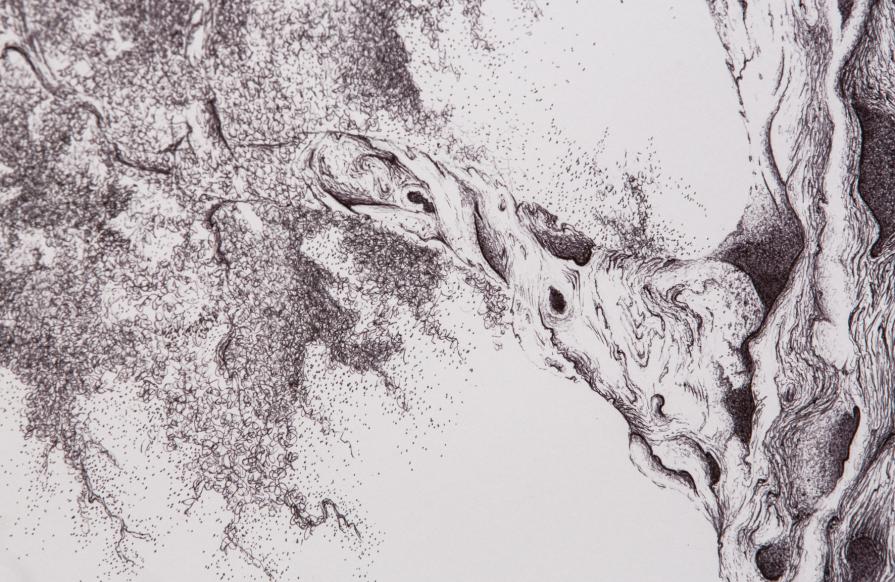 a U L I V O o f R 7 ®  