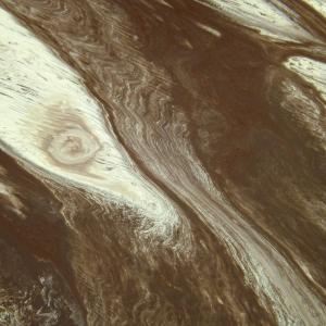 Chocolate Limes - Close Up 1