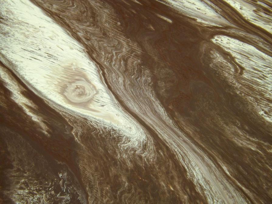 Chocolate Limes - Close Up 1