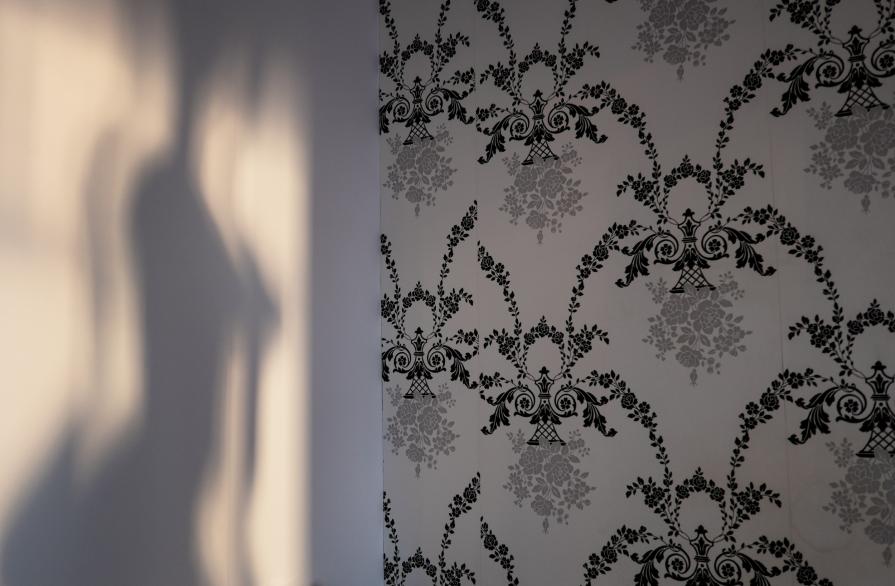 A Sky Full Of Stars For A Roof