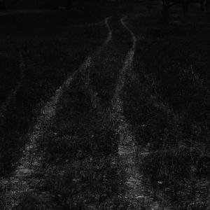 Senza titolo dalla serie 