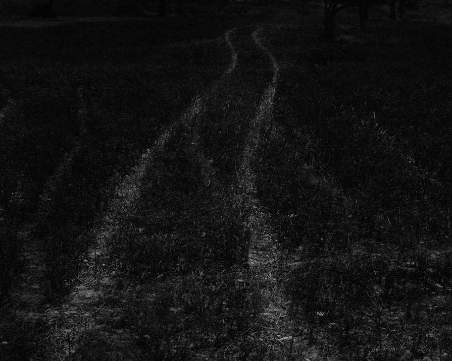 Senza titolo dalla serie 