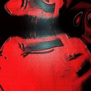 Zelda-paesaggi riflessi